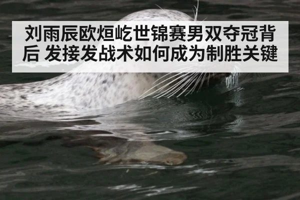 刘雨辰欧烜屹世锦赛男双夺冠背后 发接发战术如何成为制胜关键