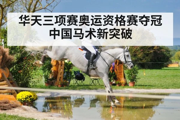 华天三项赛奥运资格赛夺冠 中国马术新突破